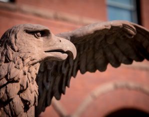 A picture of an eagle.