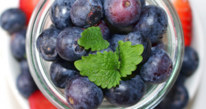 Cup of blueberries with a green garnish leaf on top