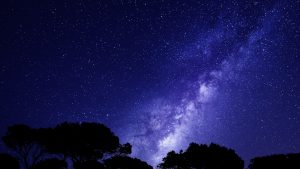The Milky Way Galaxy on a dark blue night above some silhouetted trees