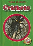 Crickets by Emily K. Green