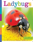 Ladybugs by Aaron Frisch