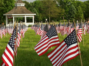 Field of United States flags in the grass