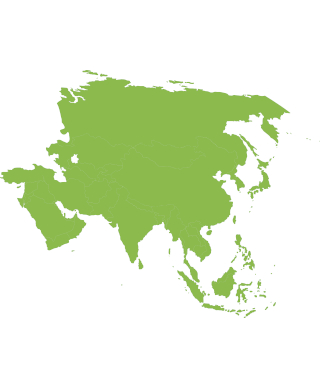 Map of the entirety of the Middle East and Asia with no country borders