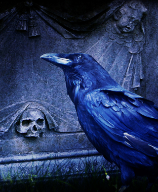 A crow standing in front of a grave stone