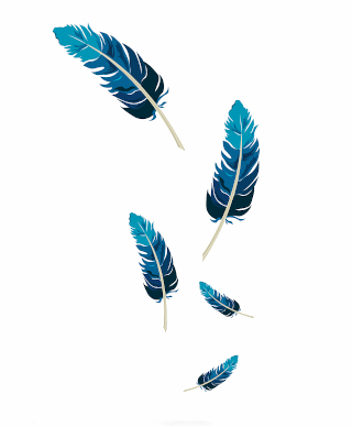 Five falling blue feathers