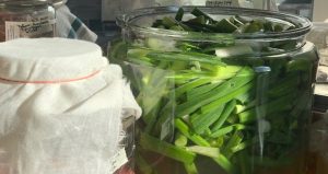 A jar with a red substance in it and a jar with cut up green vegetable matter in it sitting next to each other