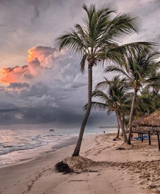 Beach with palm trees and the beginnings of a sunset