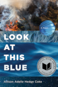 Look at This Blue by Allison Adelle Hedge Coke