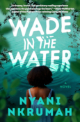 Wade in the Water by Nyani Nkrumah