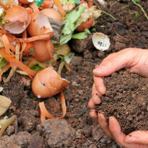 A light skinned hand holding dirt above a compost pile