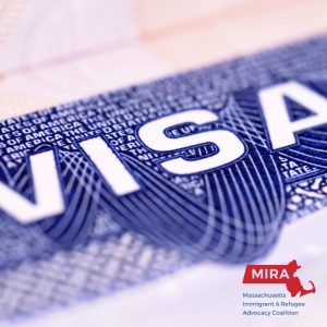 Part of a Visa document with the Massachusetts Immigrant and Refugee Advocacy Coalition logo below