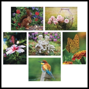 Six pictures of flowers and animals