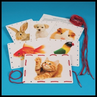Cards splayed on a blue table with pictures of cats, dogs, a bunny, a fish, a parrot, on them and holes around the edges