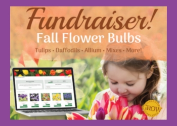 A light skinned girl smelling pink and purple flowers with a computer next to her and the words Fundraiser Fall Flower Bulbs as a title above them