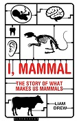 I, Mammal by Liam Drew