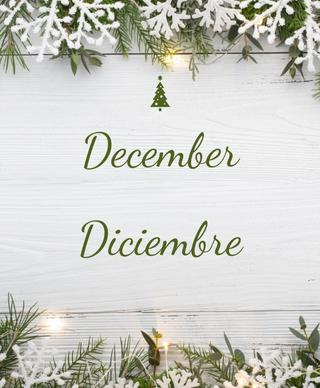 The edges of evergreen branches and plastic snowflakes with the words December/Diciembre in the middle
