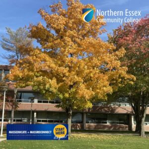 Brick building with grass and a yellow leafed fall tree in the foreground and the blue sky above