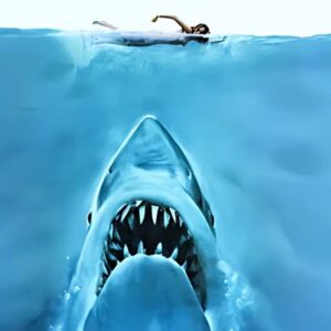 Shark with open mouth and big teeth swimming up towards a woman swimming on top of water