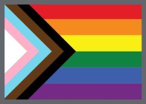 LGBTQ+ Flag with a grey border