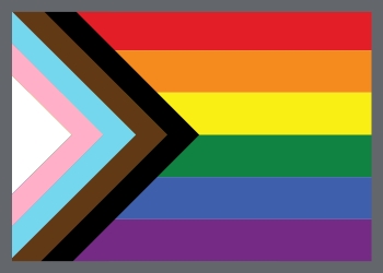 LGBTQ+ Flag with a grey border