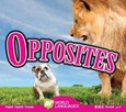 Opposites by Aaron Carr