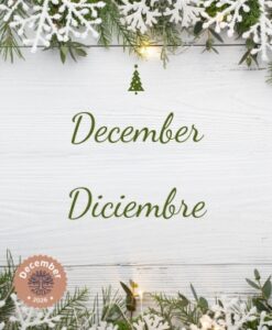The edges of evergreen branches and plastic snowflakes with the words December/Diciembre in the middle
