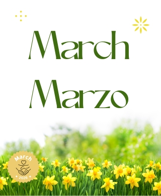 A green bed of yellow flowers with the words March and Marzo over them