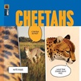Cheetahs by Kate Riggs