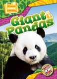 Giant Pandas by Chris Bowman