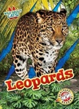 leopards Leopards by Alicia Z. Klepeis